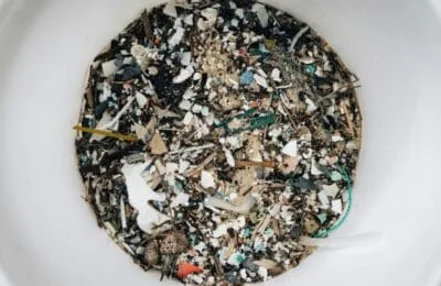 Microplastice în corp: Panică sau prudență? Studii noi schimbă perspectiva