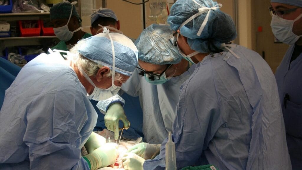 transplant uter