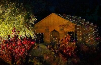 Hilary Duff și Diet Coke – Teoria neașteptată care a uimit pe toată lumea