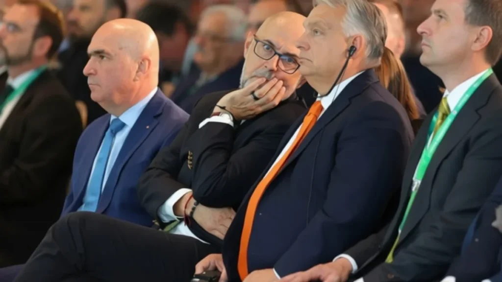 UDMR alegeri