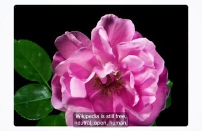 Tragedie in San Jose – Un Mort si Multi Raniti intr-un Accident cu 4 Masini