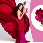 Carolina Herrera La Bomba - 20% reducere la parfumul-vedetă. Vezi unde!