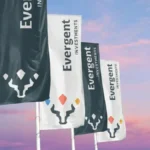 Profit record de 378 milioane lei la EVERGENT. Când se dau dividendele?