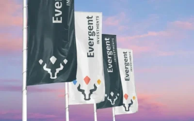 Profit record de 378 milioane lei la EVERGENT. Când se dau dividendele?