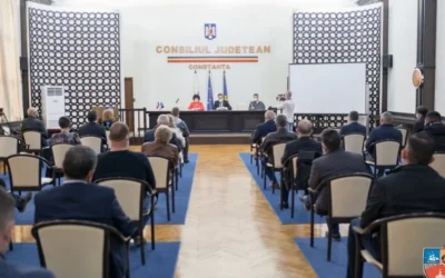 PSD detine 25 de Consilii Judetene. Cum se negociaza puterea la nivel local