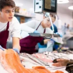 Peste de Florii - Romanii platesc si 60 lei/kg. Preturi record?