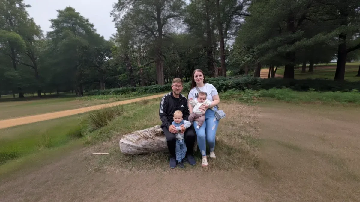 transplant celule stem