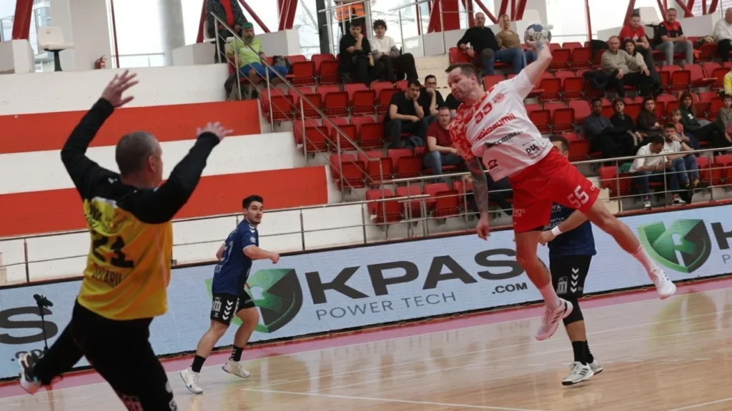 Liga Zimbrilor
