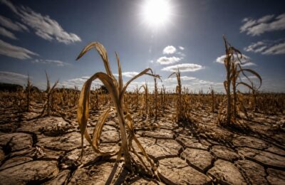 Prețurile agricole au crescut cu 7% într-o lună pe fondul riscului unui El Niño puternic