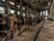 Producția industrială a României a scăzut cu 7,3% în mai 2026