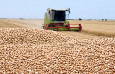 România și Bulgaria împing estul UE spre producții record la cereale, pe fondul scăderii recoltei europene