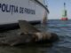 Forțele Navale au neutralizat un fragment de dronă cu exploziv la 5 mile marine de Sulina